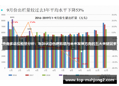 费南多退役前景分析：年龄状态伤病影响与未来发展方向的五大关键因素